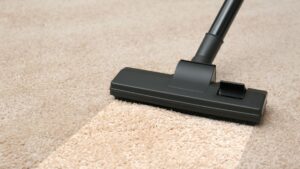 How Long Does It Take Carpet to Dry After Cleaning? Get the Real Answers