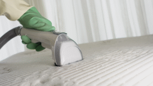 Upholstery Cleaning Cost Breakdown What You’ll Pay and Why It’s Worth It