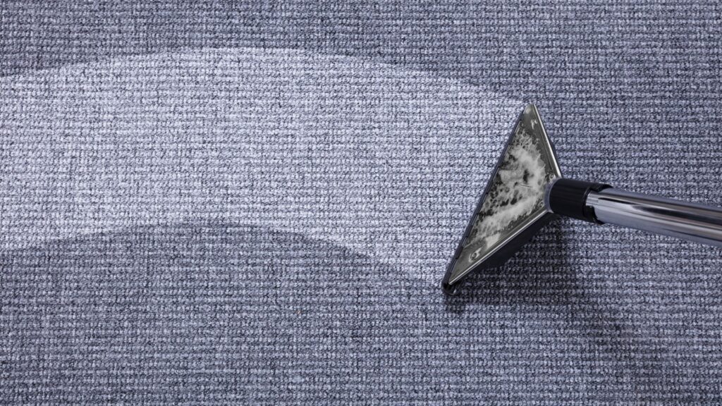 Can Carpet in Santa Monica Be Permanently Stained