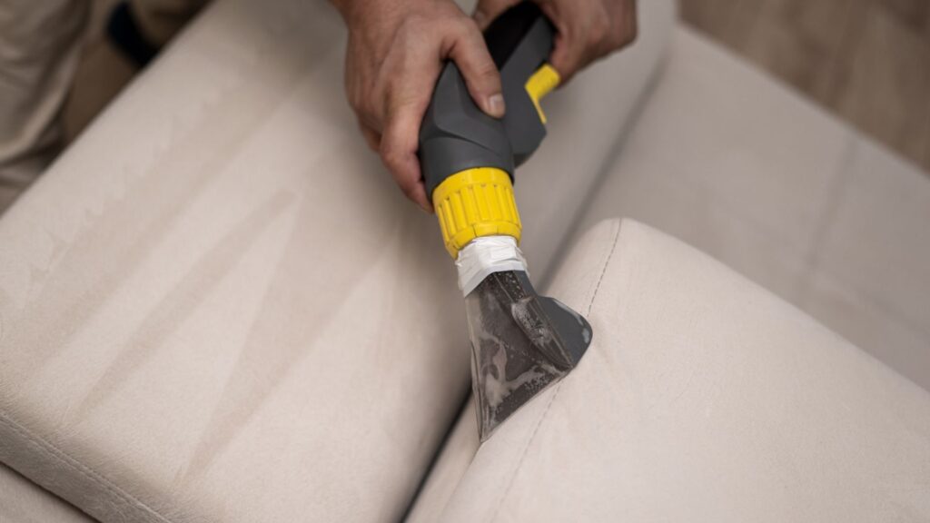 How to Get Rid of Dust Mites in Couch_ Proven Tips That Actually Work