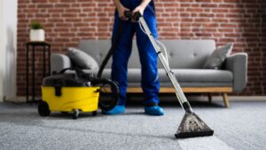 Popular Carpet Cleaning Myths Debunked: What Really Works at Home