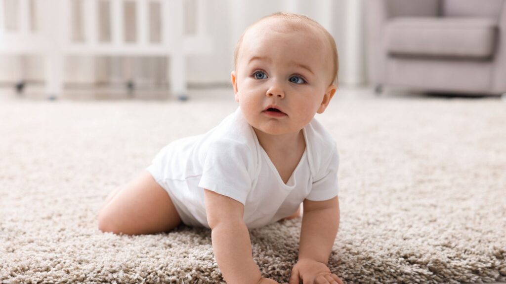 Can You Steam Clean a Wool Rug Without Ruining It? Smart Tips That Actually Work