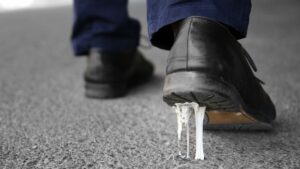 How To Get Gum Out Of Carpet Fast: Simple Tricks That Actually Work