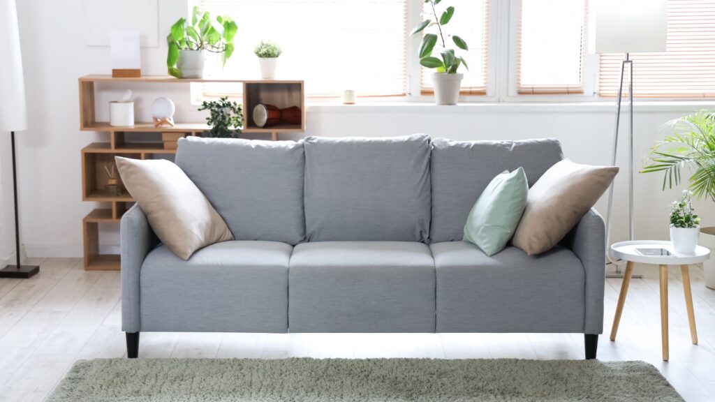 Why Does My Couch Smell Musty? Simple Fixes To Freshen It Fast