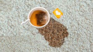 How To Get Tea Stains Out Of Carpet Quickly And Easily