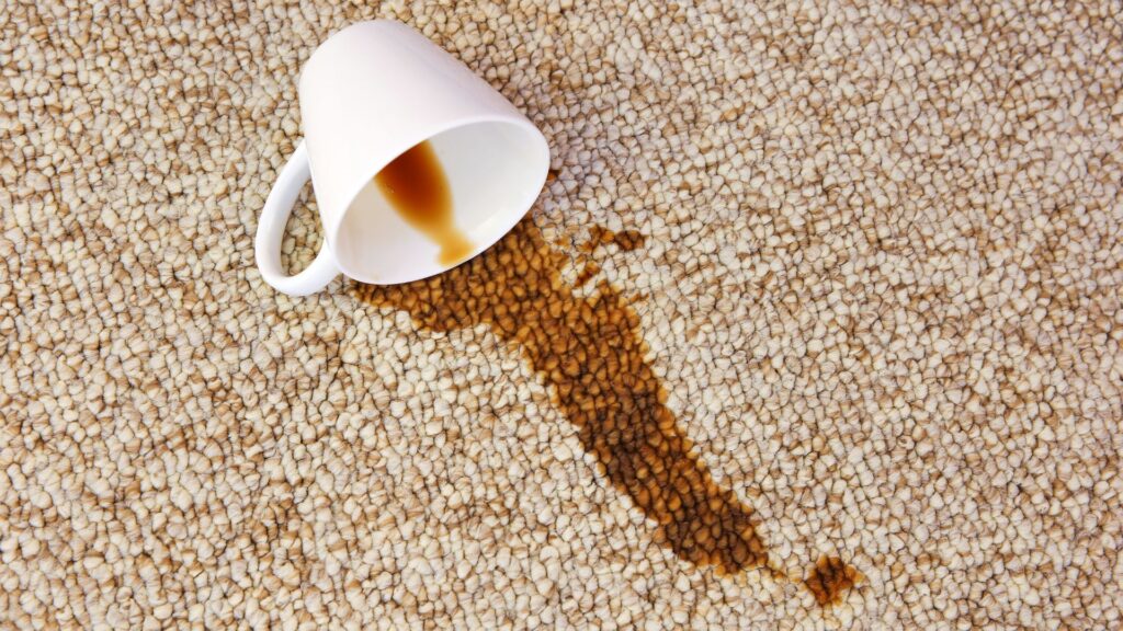 How to Get Chocolate Out of Carpet Fast Without Ruining the Fibers