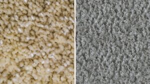 Frieze vs Plush Carpet: Which Feels Better Underfoot?