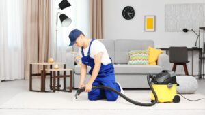 Why Opt For Professional Carpet Cleaning Services in Santa Monica, CA?