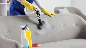 Yes, You Can Steam Clean a Couch - Here's the Catch